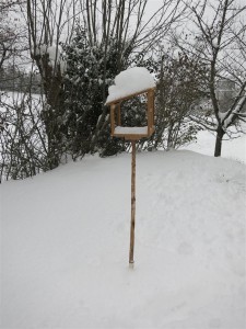 IMG_7939 (Large)